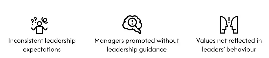 Leadership framework can solve these problems