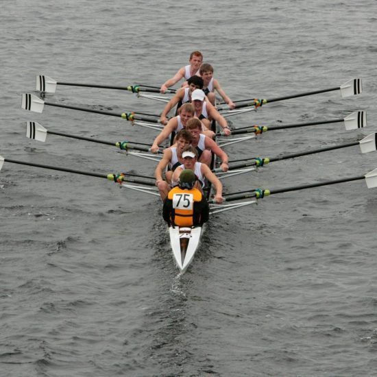 Building high performing teams